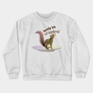 Lovely bit of squirrel Crewneck Sweatshirt